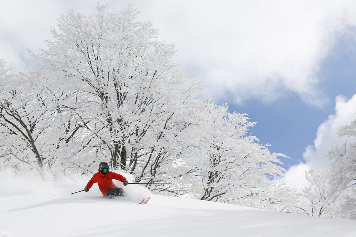 🏂 큐피트 밸리 (キューピットバレイ) 이미지 7